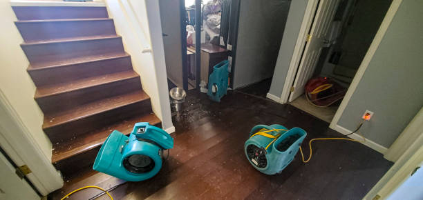 Best 24/7 water damage repair  in Borger, TX