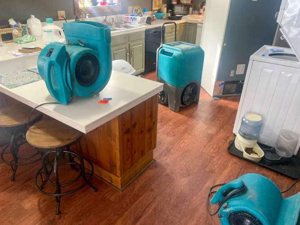  Borger, TX Water damage restoration Pros