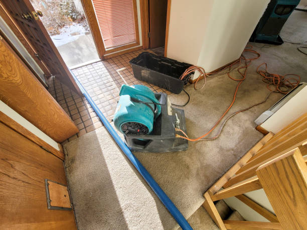 Best Emergency water damage restoration  in Borger, TX