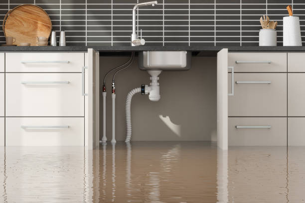 Best Emergency water damage restoration  in Borger, TX