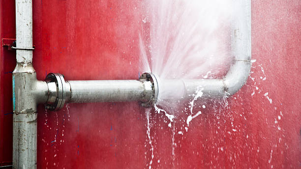 Best Water damage restoration near me  in Borger, TX